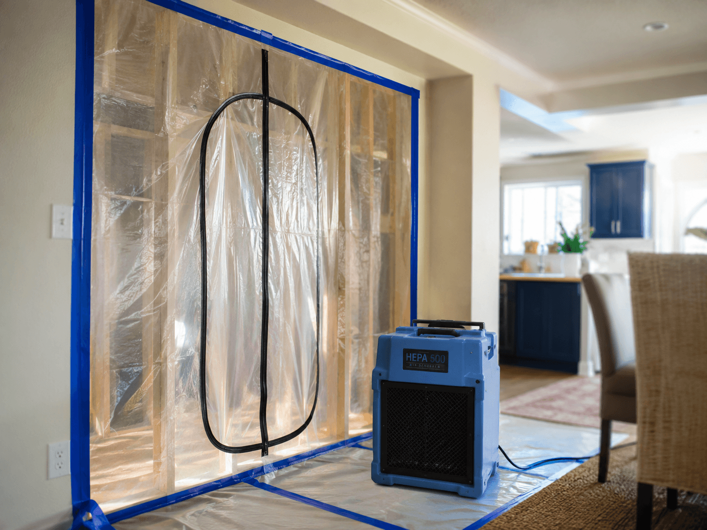 Mold Remediation